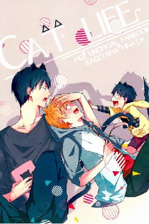 Haikyuu!! dj: Cat Life