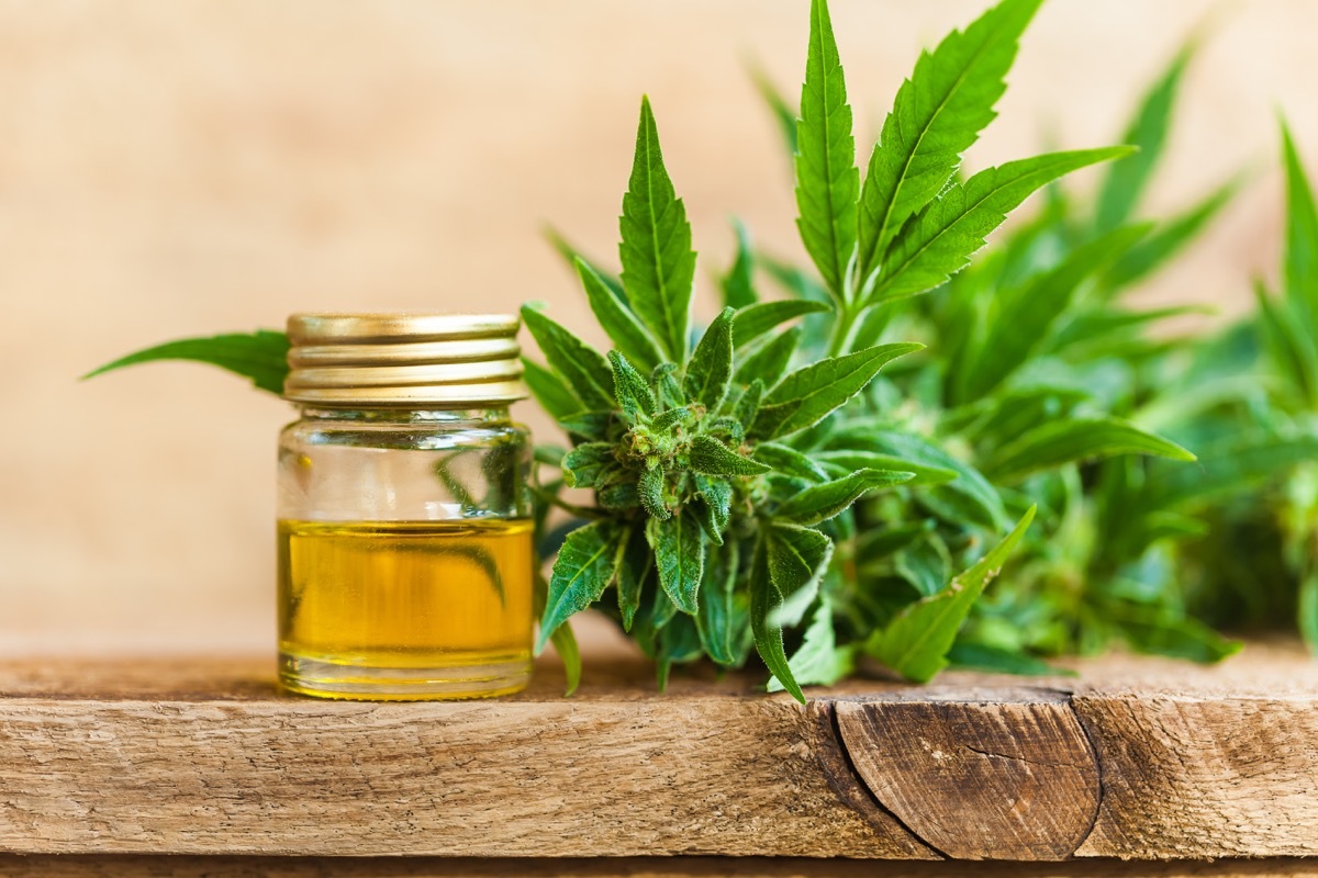 CBD oil hemp products