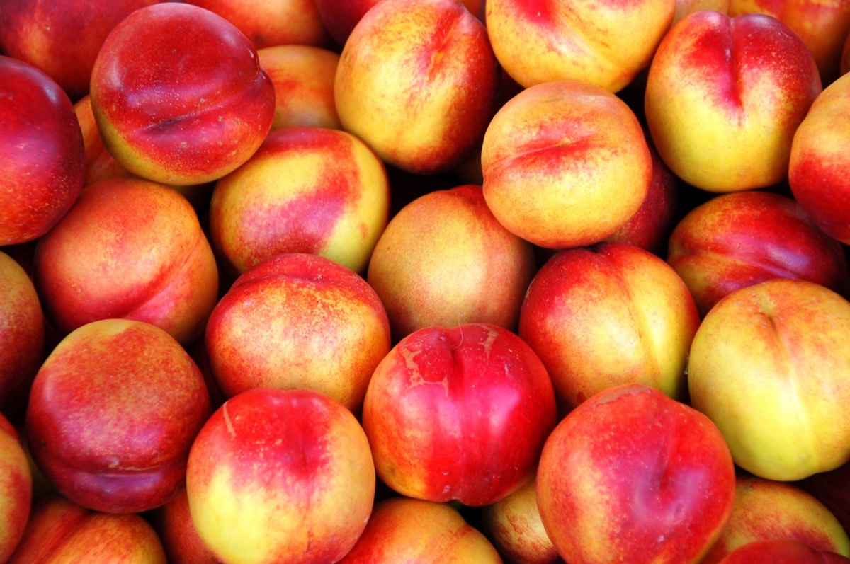 Pile of nectarines