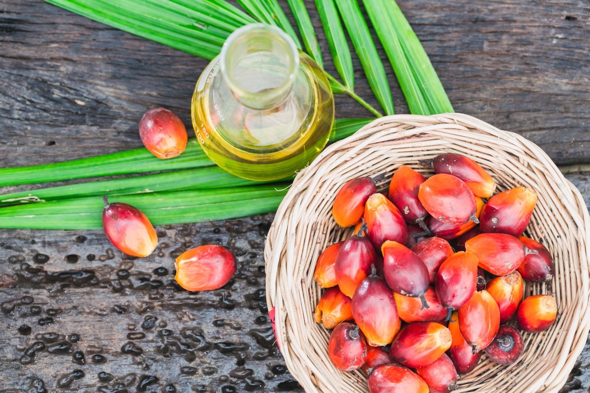 palm oil