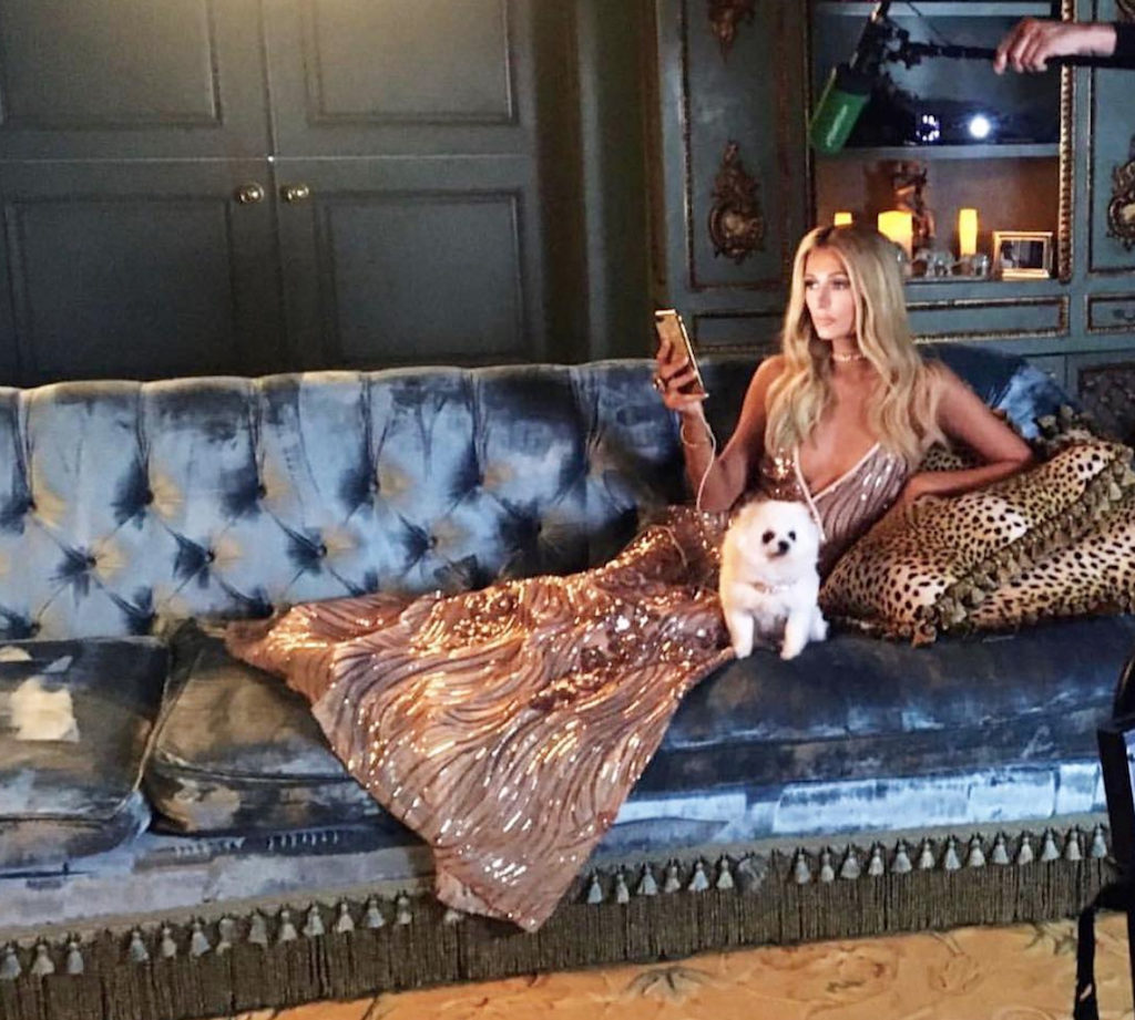 Paris Hilton Dogs Pets Living the Good Life