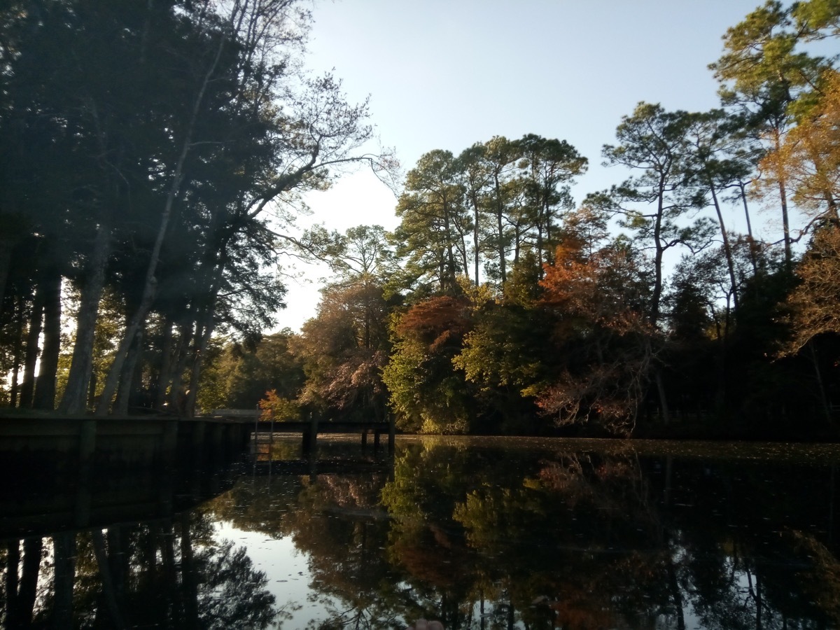 Magnolia Springs Alabama