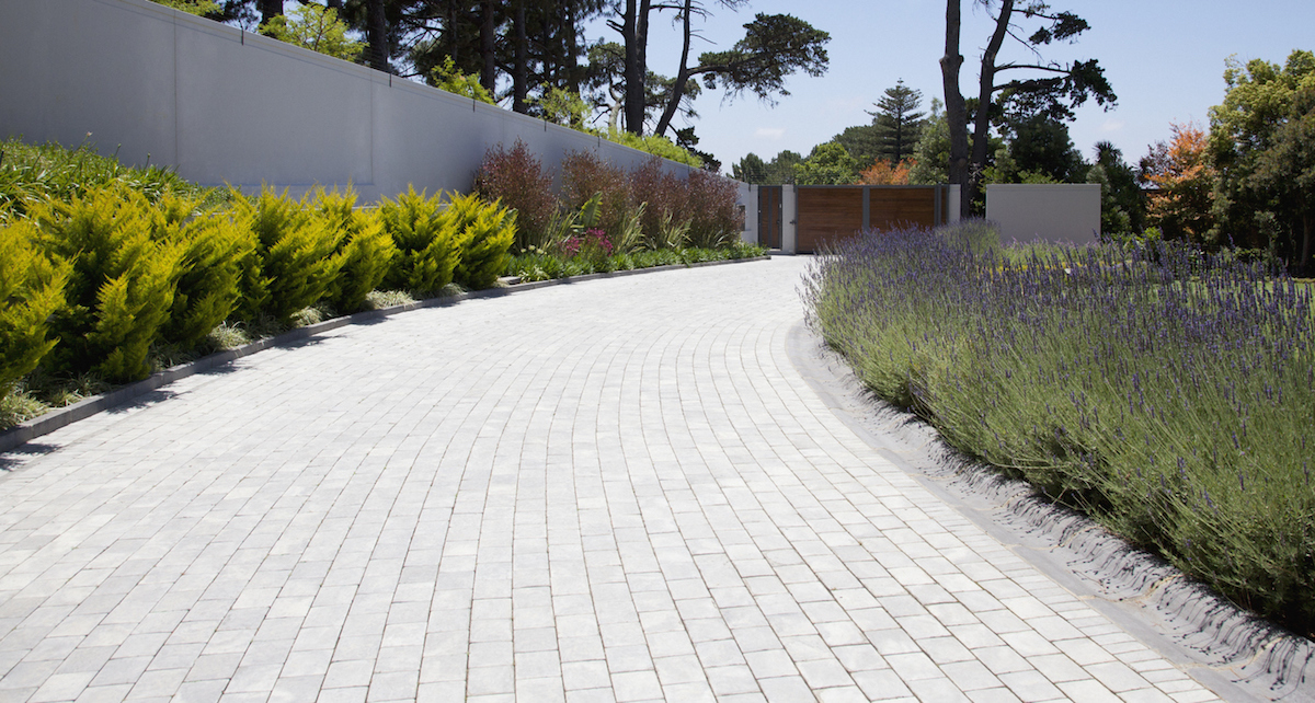 Plants along cobblestone driveway