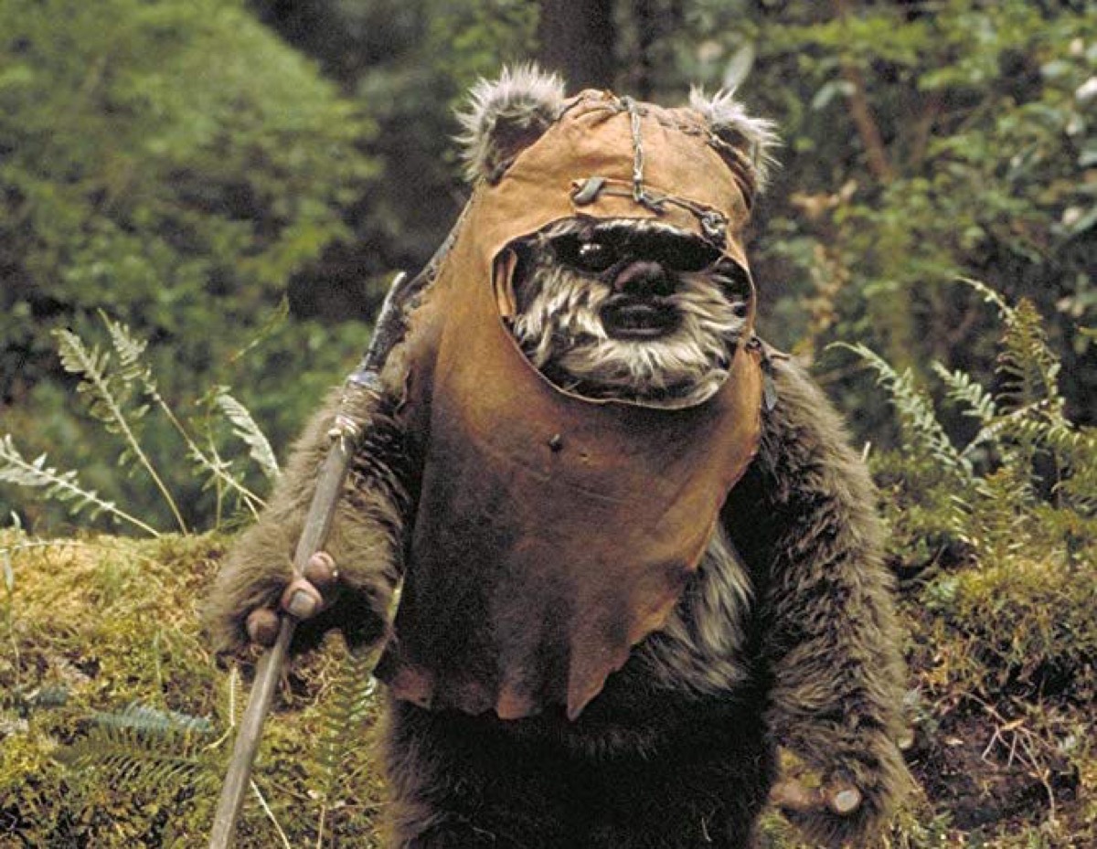 Wicket the Ewok in Return of the Jedi