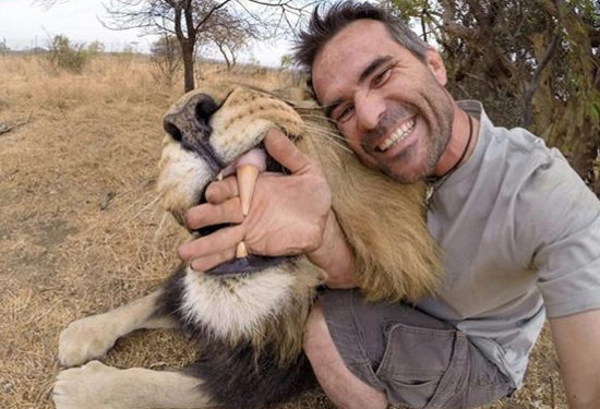 Dangerous Lion Selfies