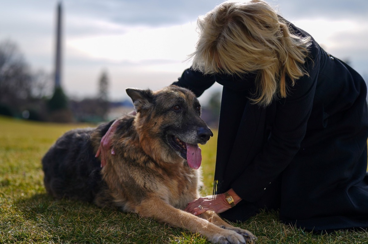 Champ with Jill Biden on the White House lawn