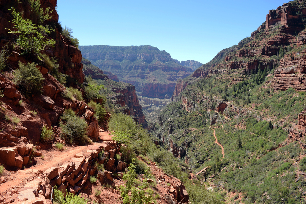 The North Kaibab Recreational Trail in Arizona