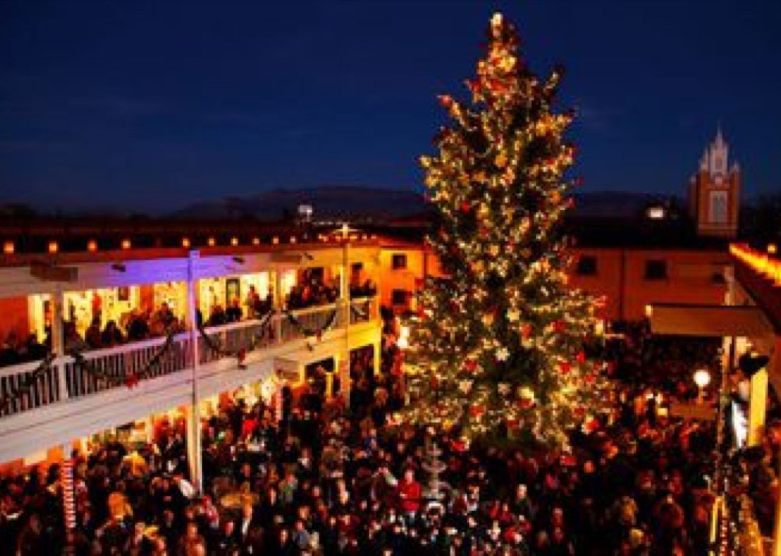 Albuquerque New Mexico State Christmas Tree