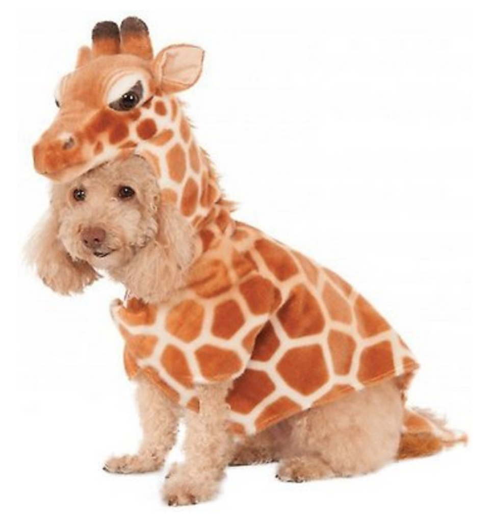 Rubie's Giraffe Dog Costume adorable dog outfits