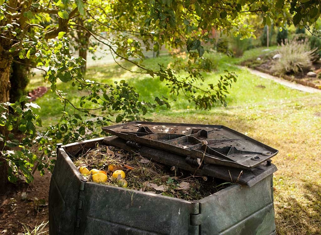 compost bin