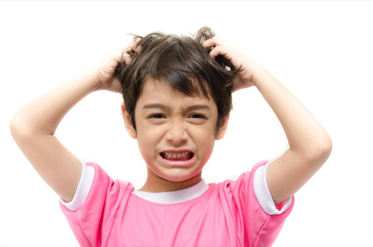 Little boy itchy his hair on white background, parenting is harder