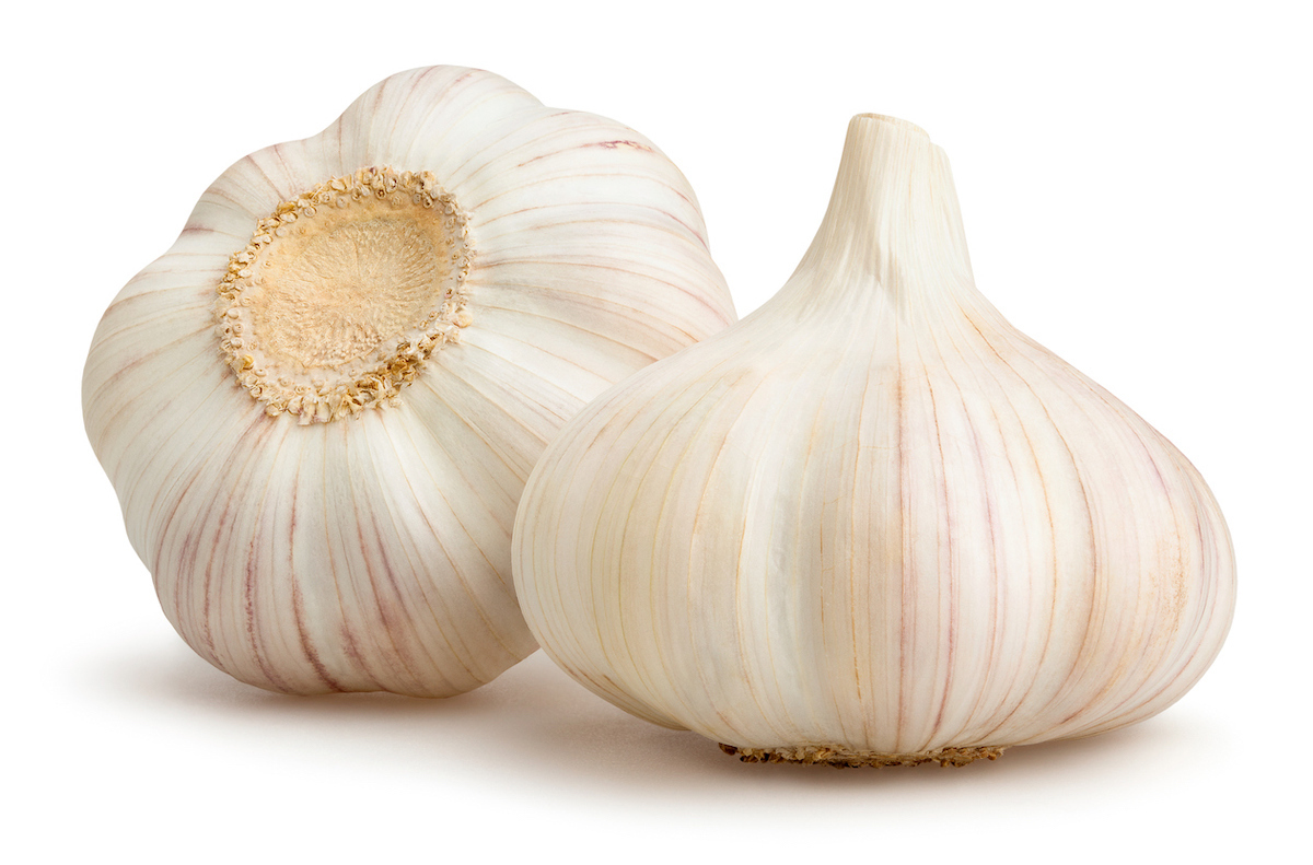 garlic isolated on white background