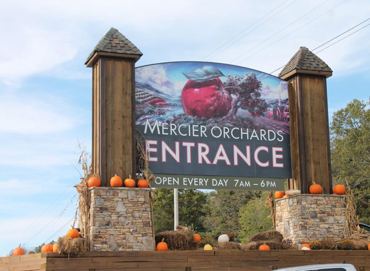 mercier orchards georgia