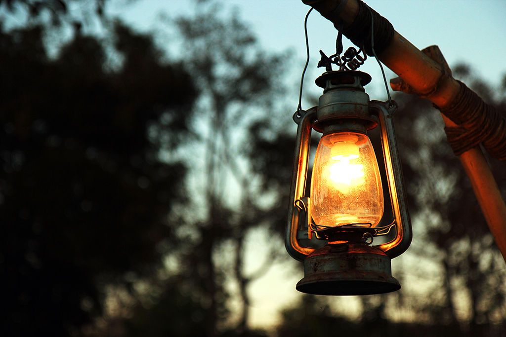 lantern, over 40 suicide forest