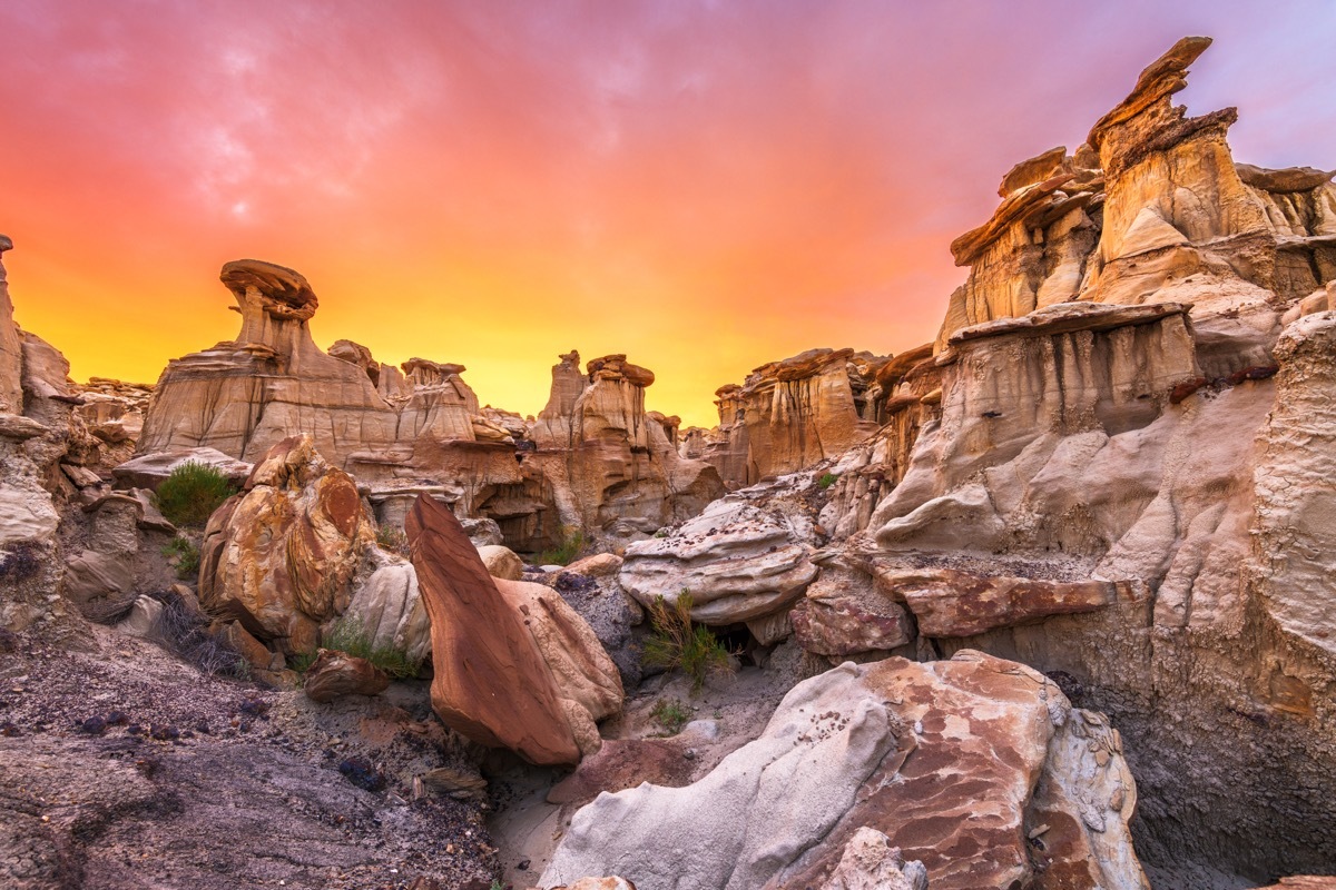 sunset over the wilderness