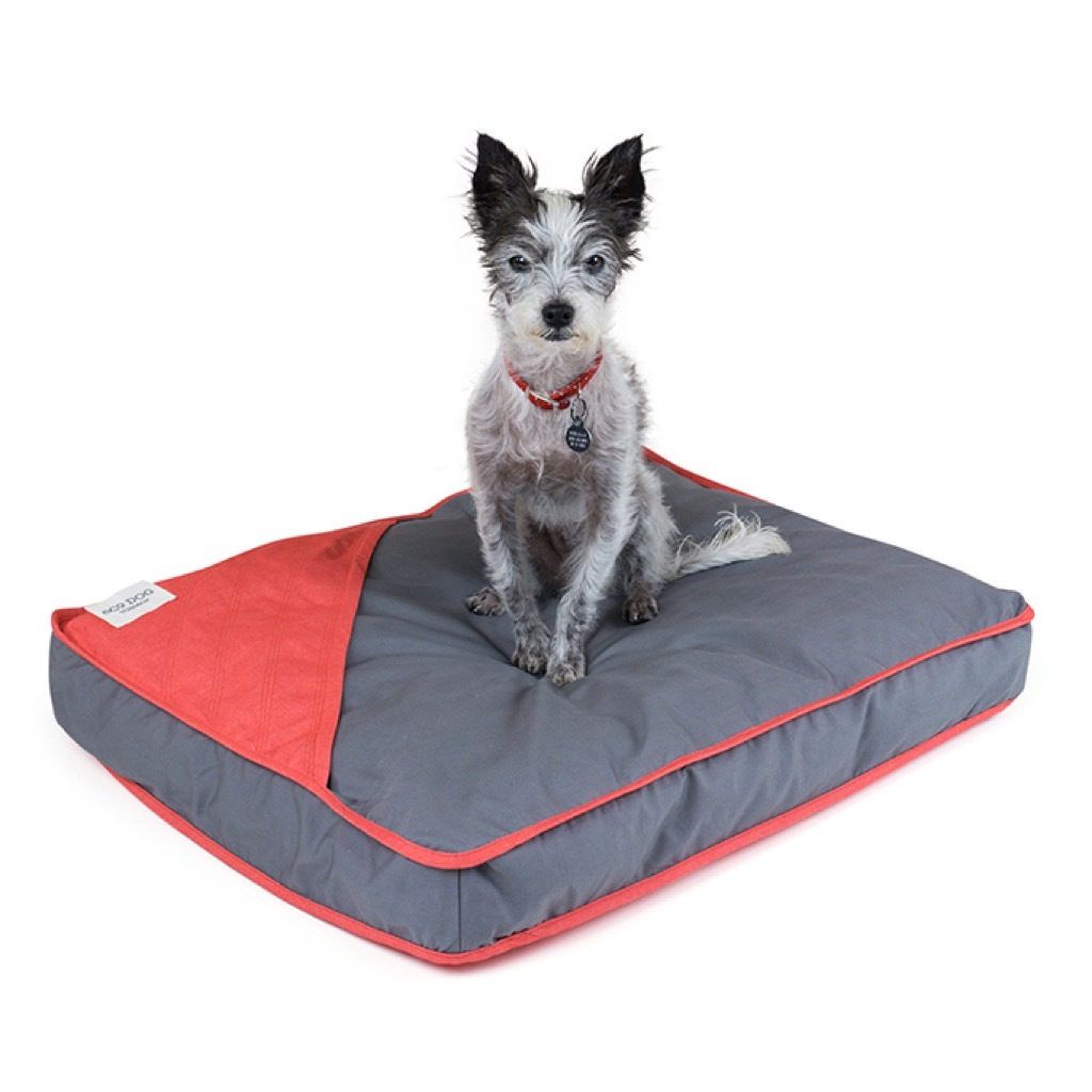 dog bed gift ideas