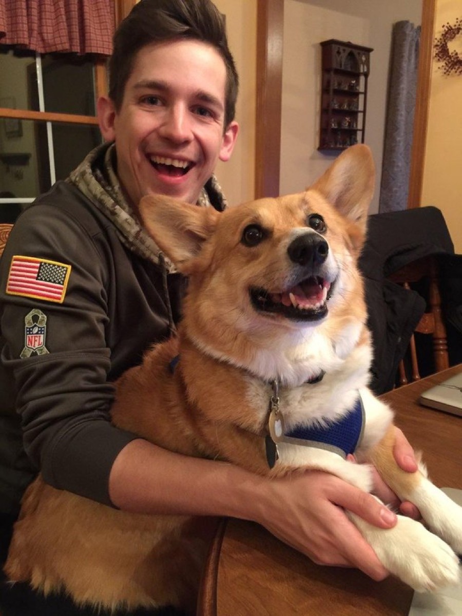 man and corgi look alike dogs who look like their owners