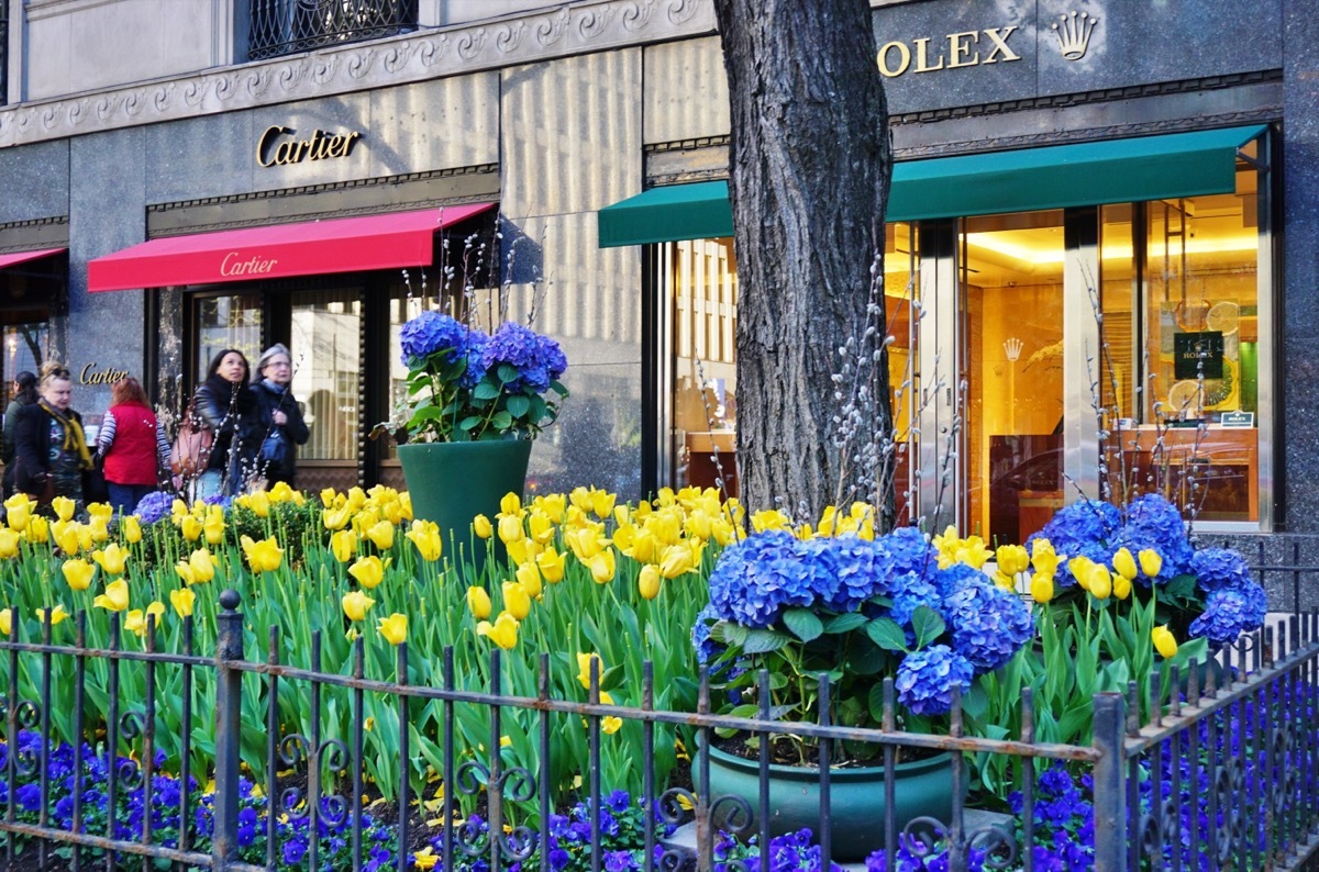 Magnificent Mile