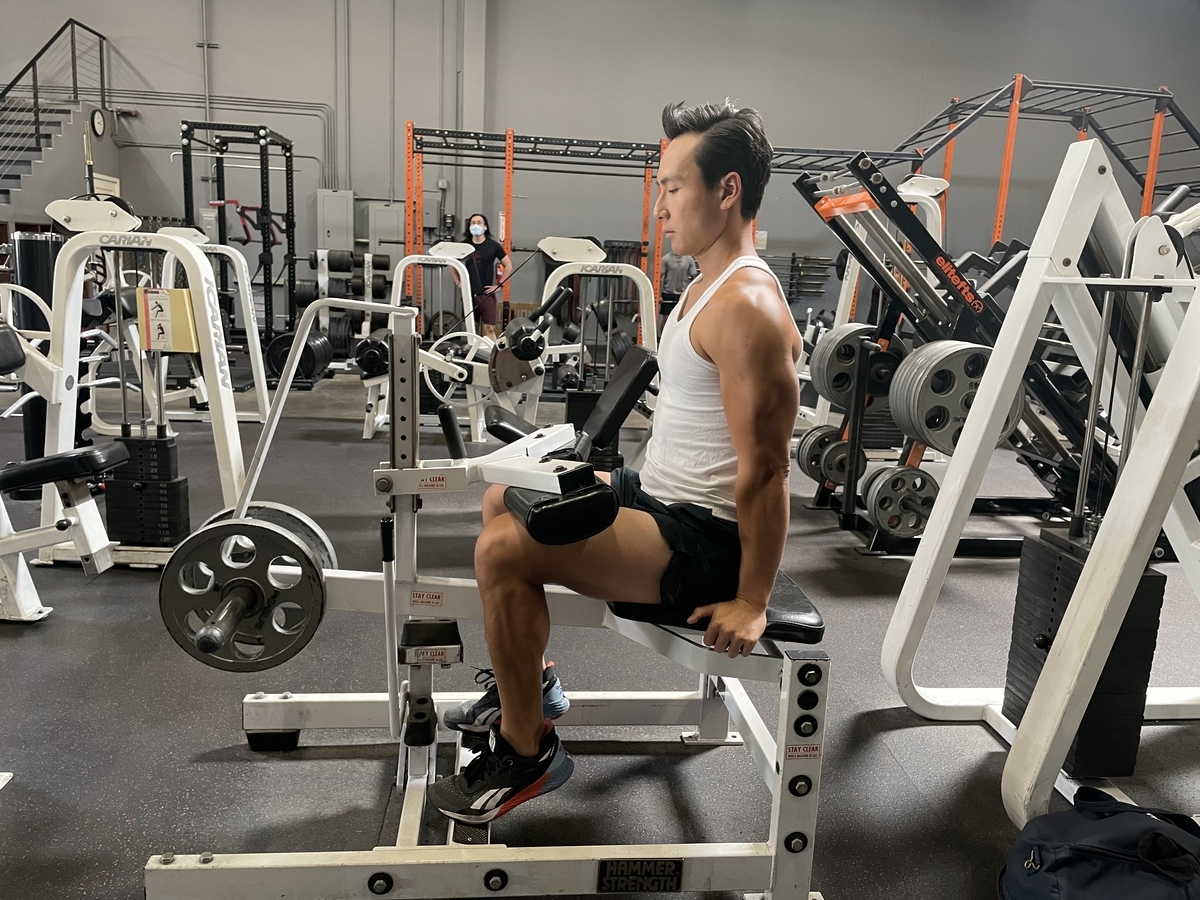 21 - seated calf raises