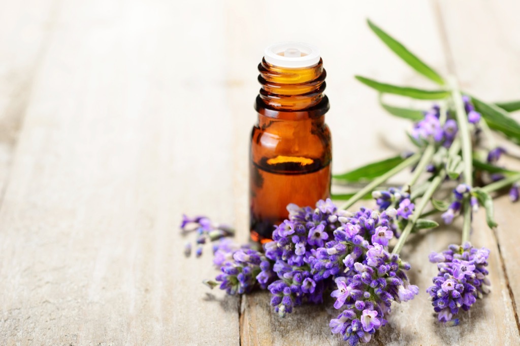 Lavender oil