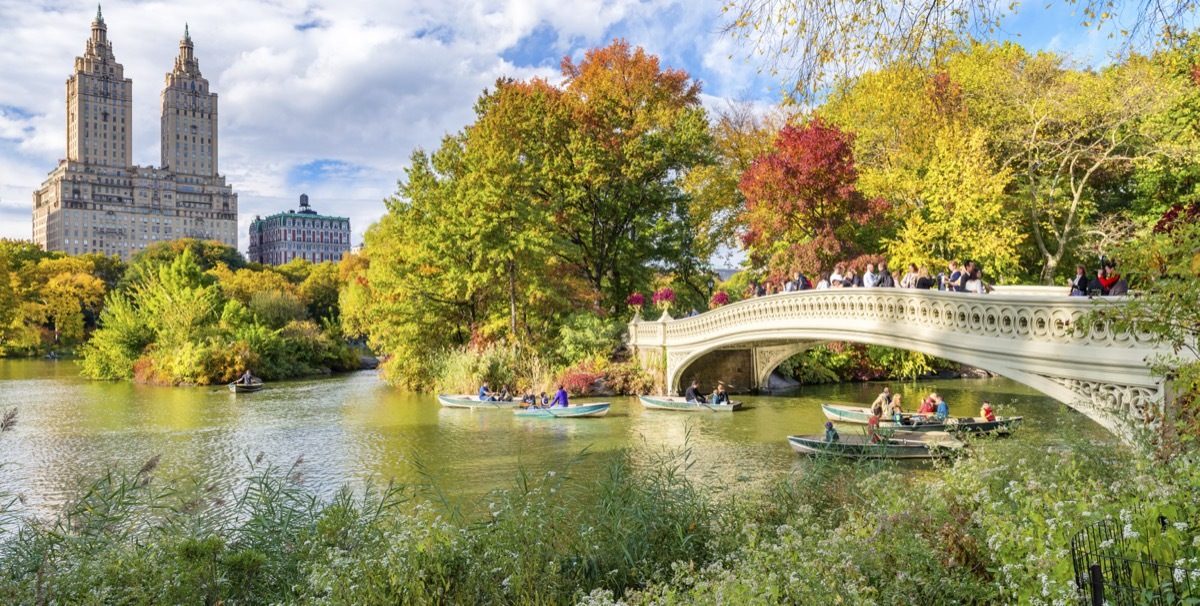 Central Park in NYC