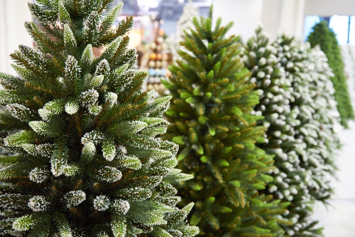 fake christmas trees in the store