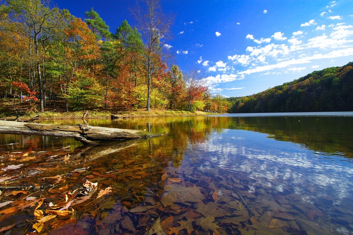 brown county state park viewed from water