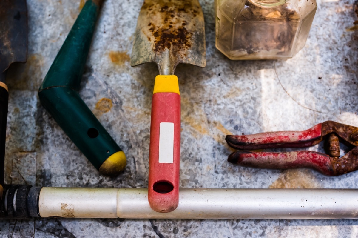 Rusty gardening tools