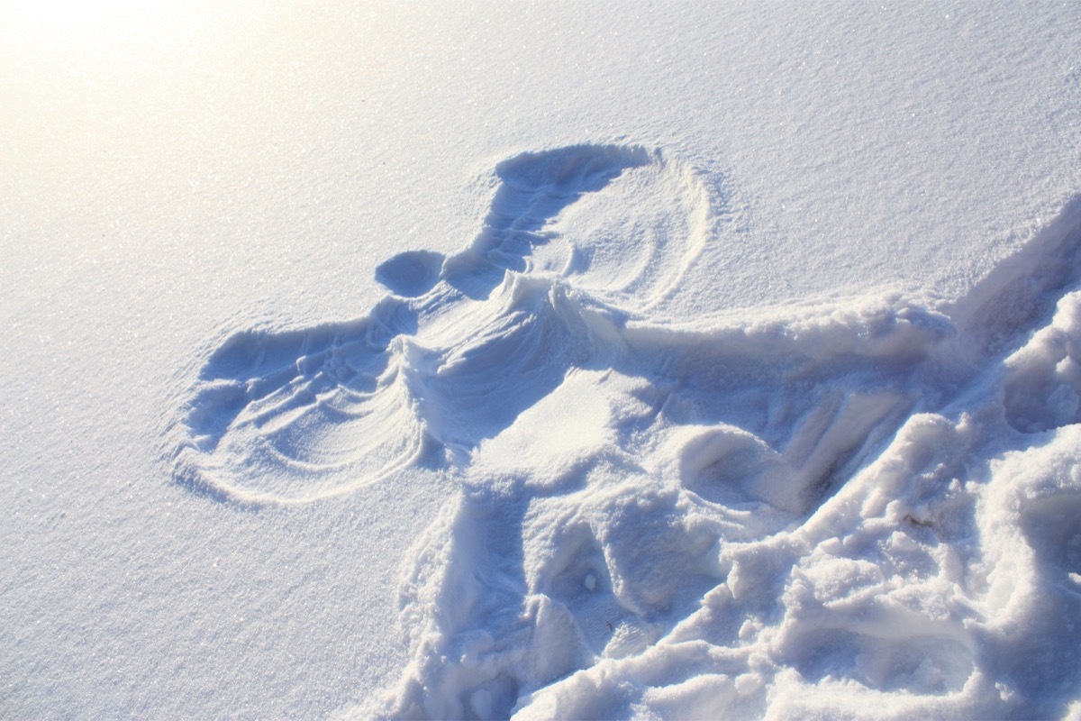 snow angel in the snow, state world record