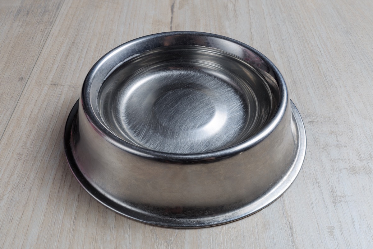 Pet Water Bowl