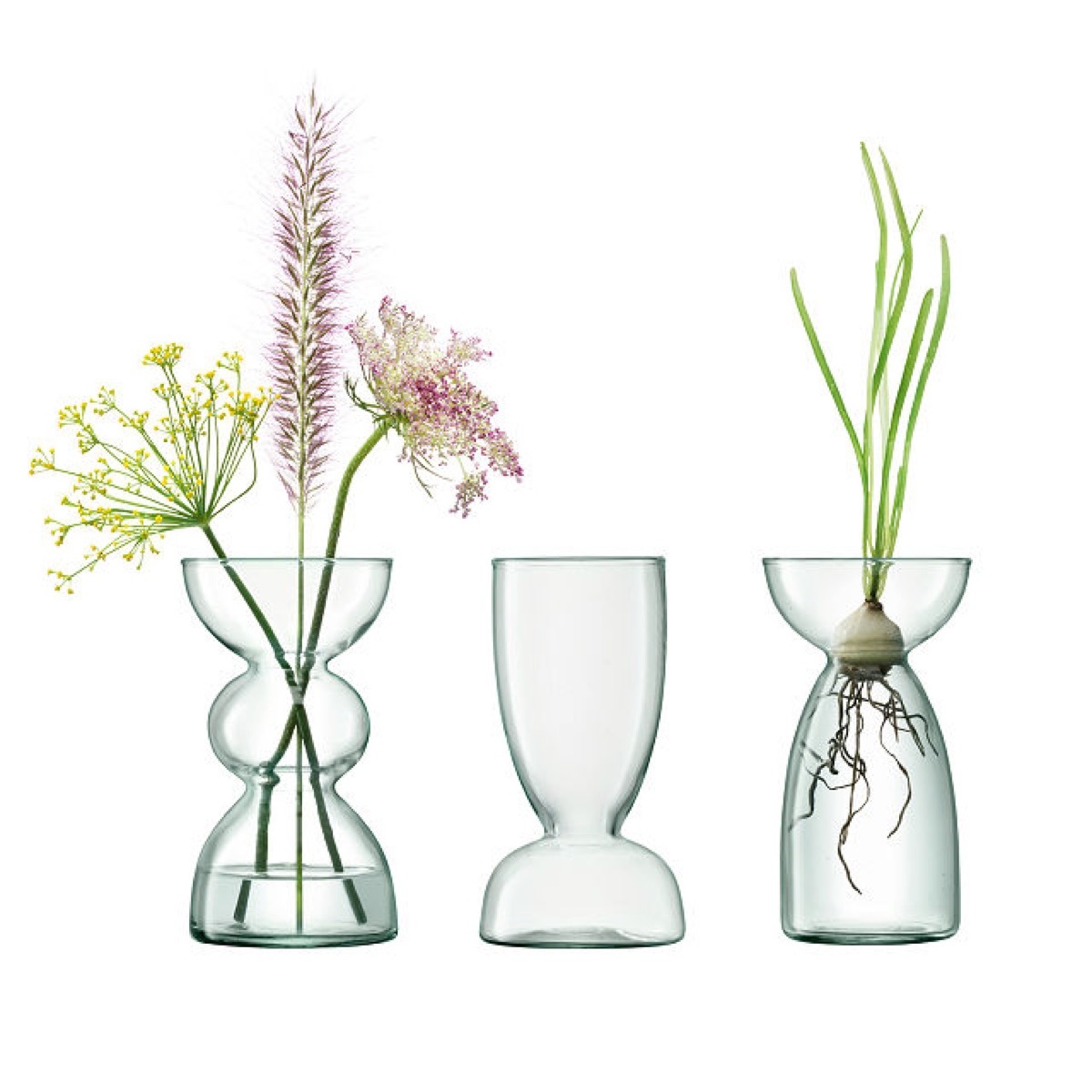 three glass vases with plants in them