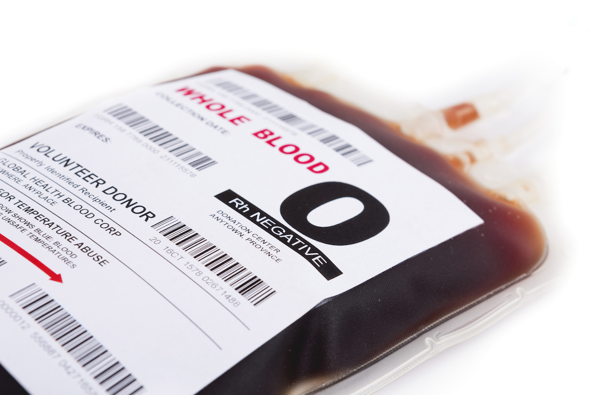 Filled blood bag on white background