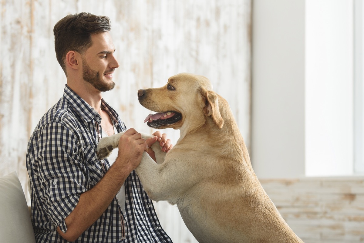 Dog and owner funny pet stories