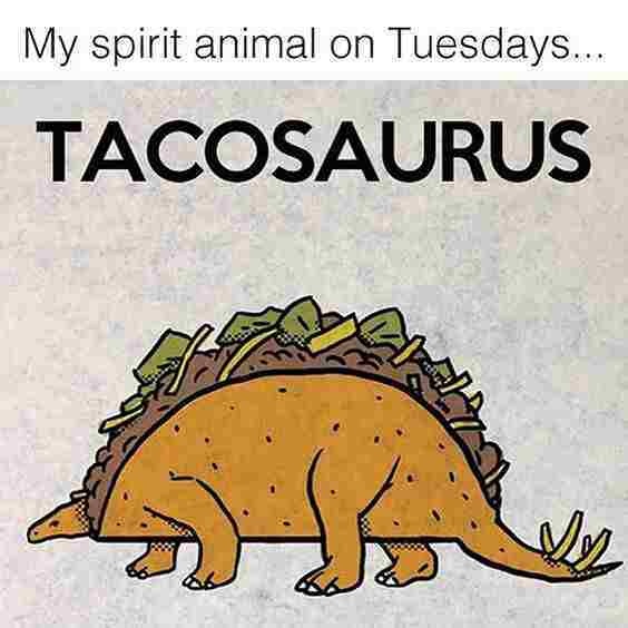 taco tuesday meme tacosarus 