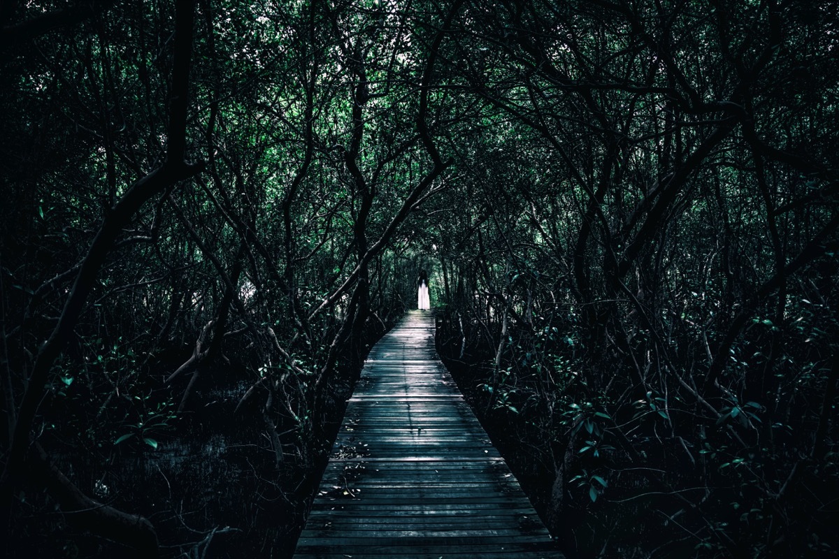 creepy woman in white dress at the end of a narrow bridge