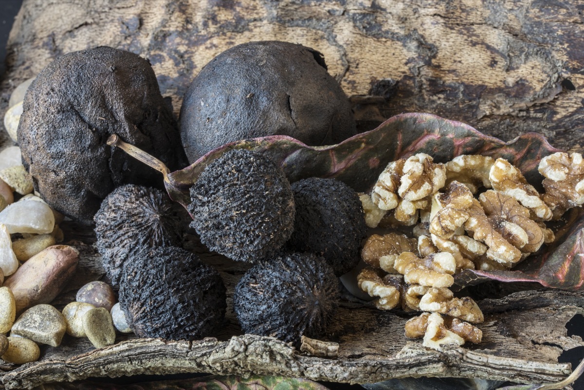 black walnuts, most common street name