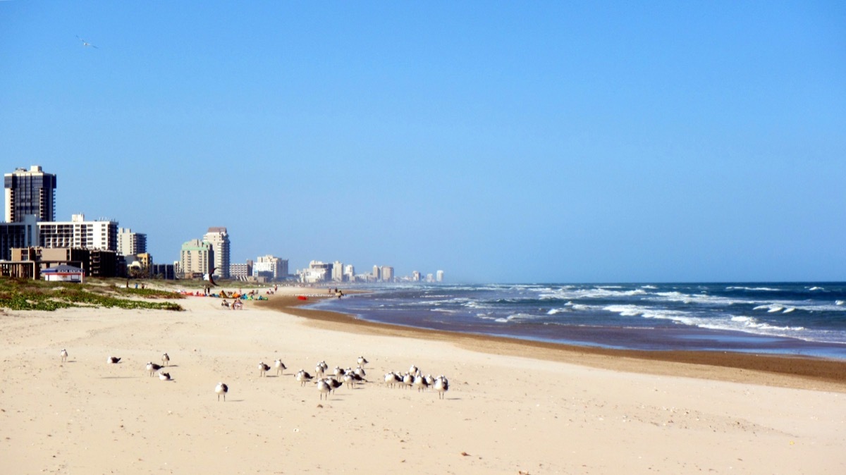 Beach in South Padre Island Texas