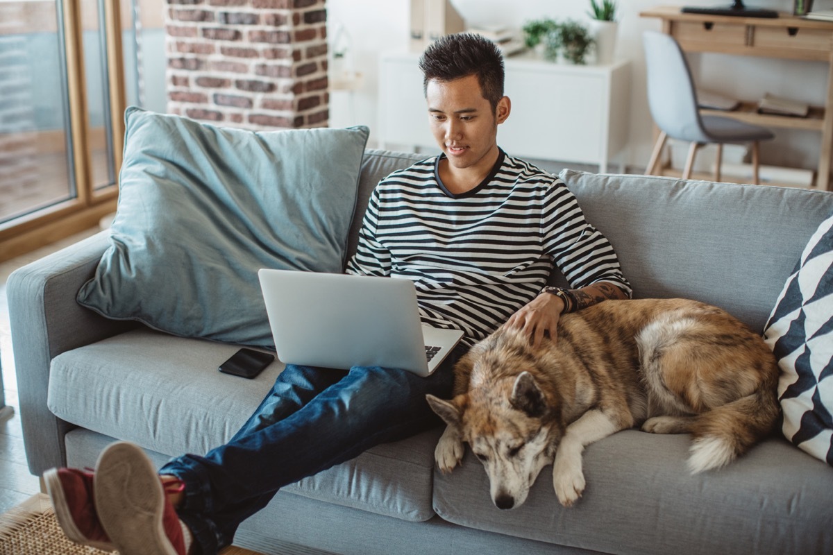 young man sitting on sofa and reading something on laptop, he prepare for exams with his pet dog is next to him