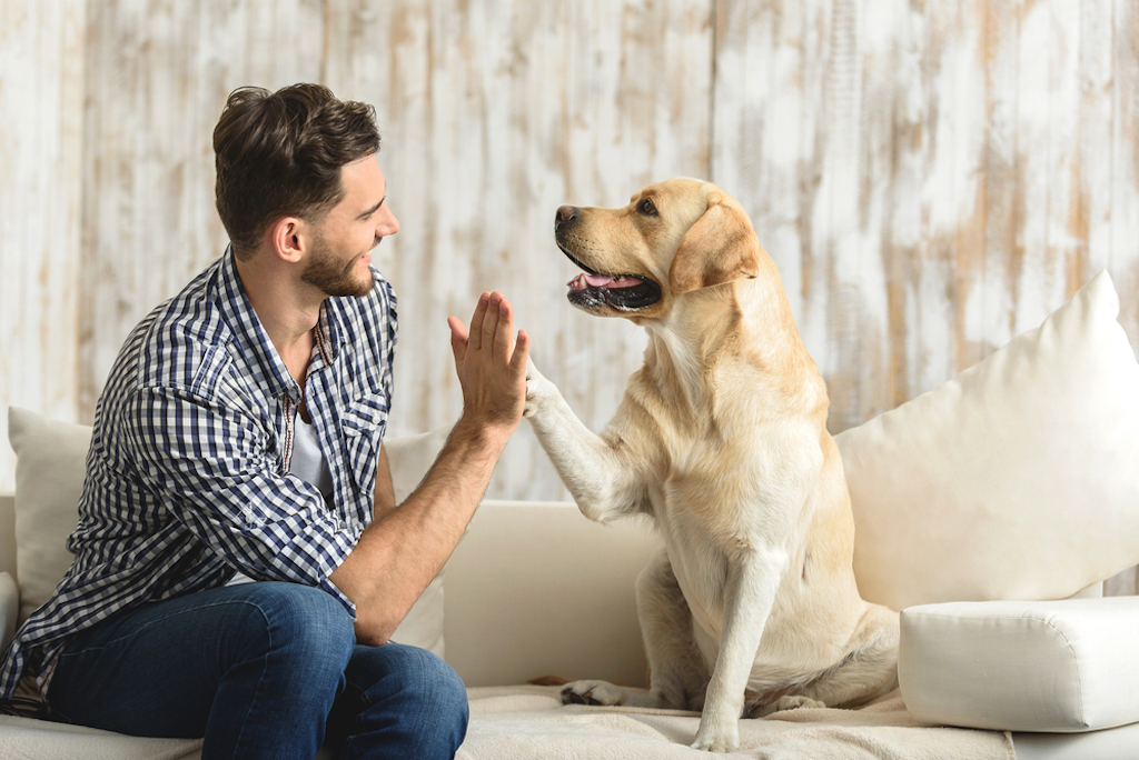 study finds some people are more biologically predisposed towards dogs, make yourself more attractive