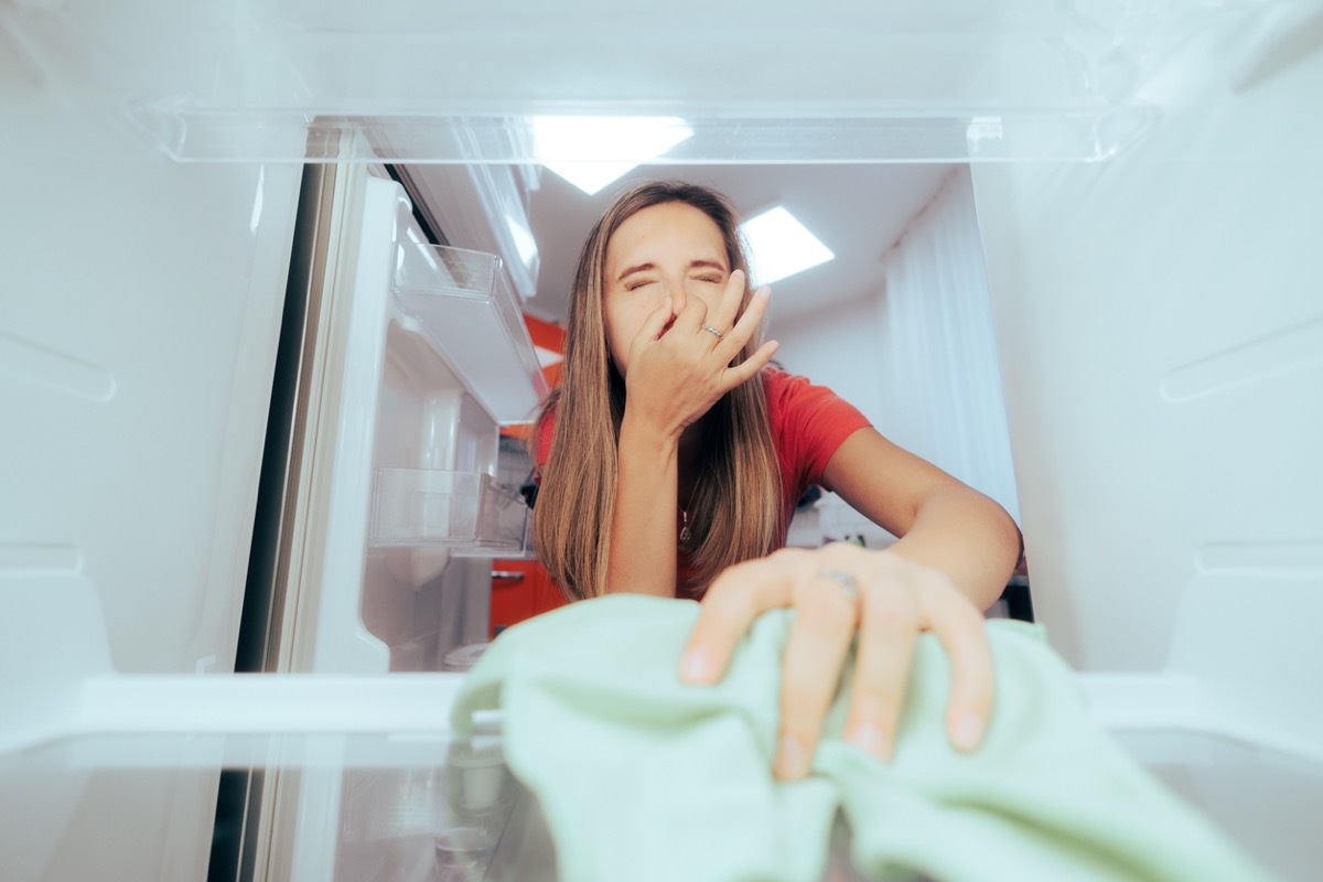 Housewife trying to get the rotten spoiled odor out of the freezer