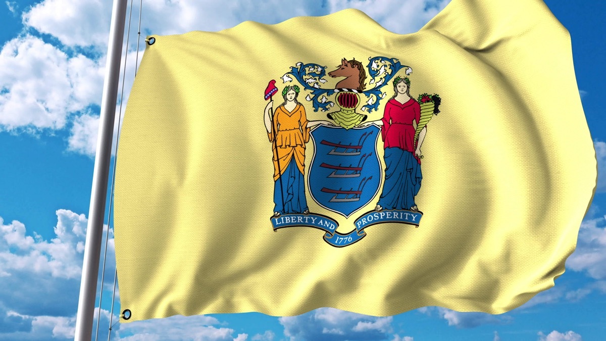 new jersey state flag facts