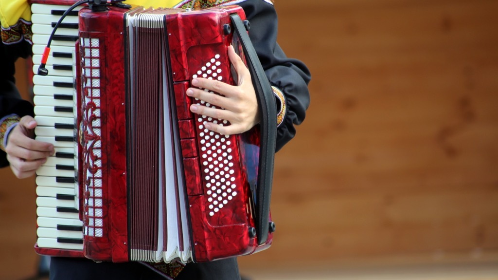 Accordion instrument musician