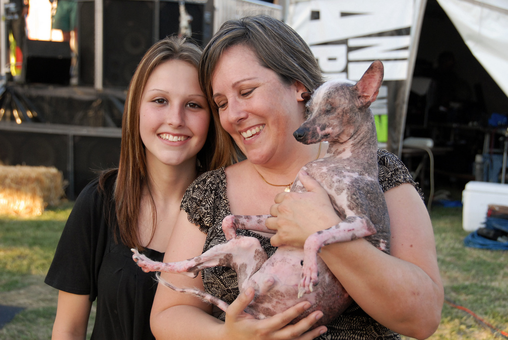 world's ugliest dogs