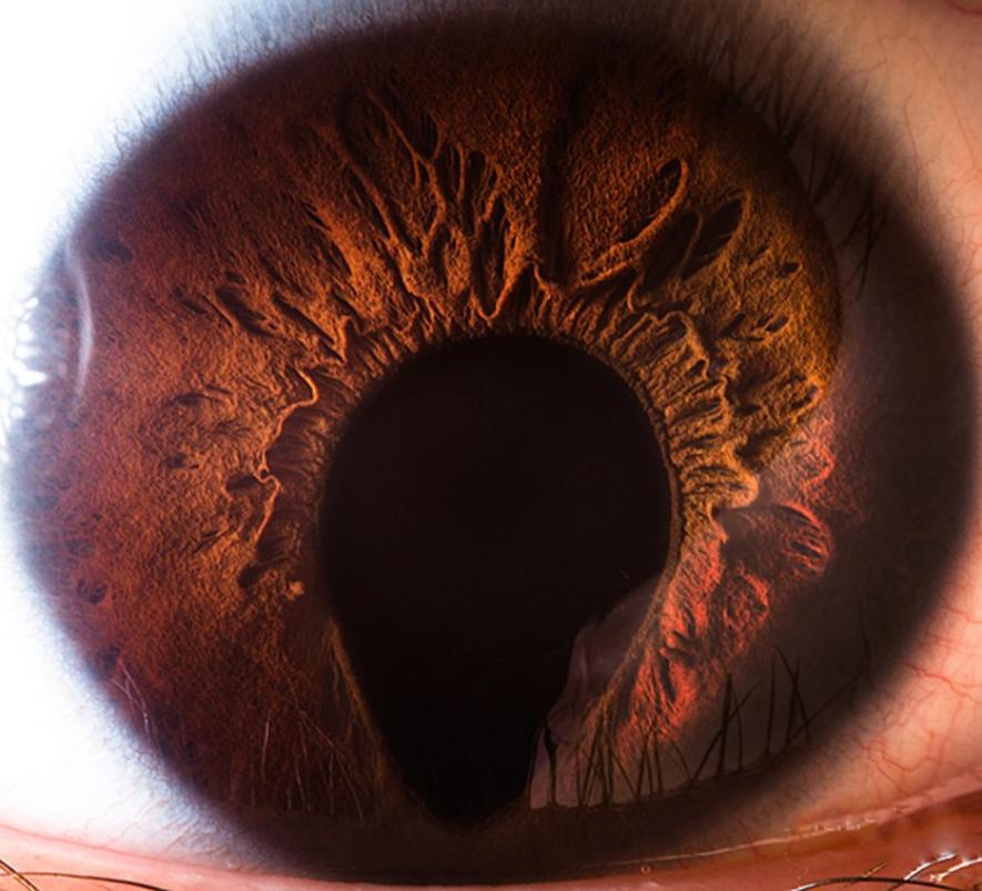 extreme-closeups-of-human-eyes-are-creepy-but-stunning-09