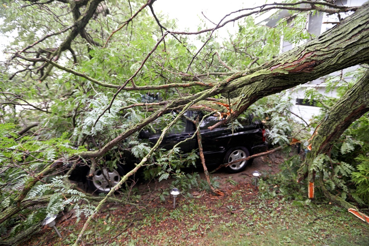 Fallen tree storm damage to house and car from strong winds