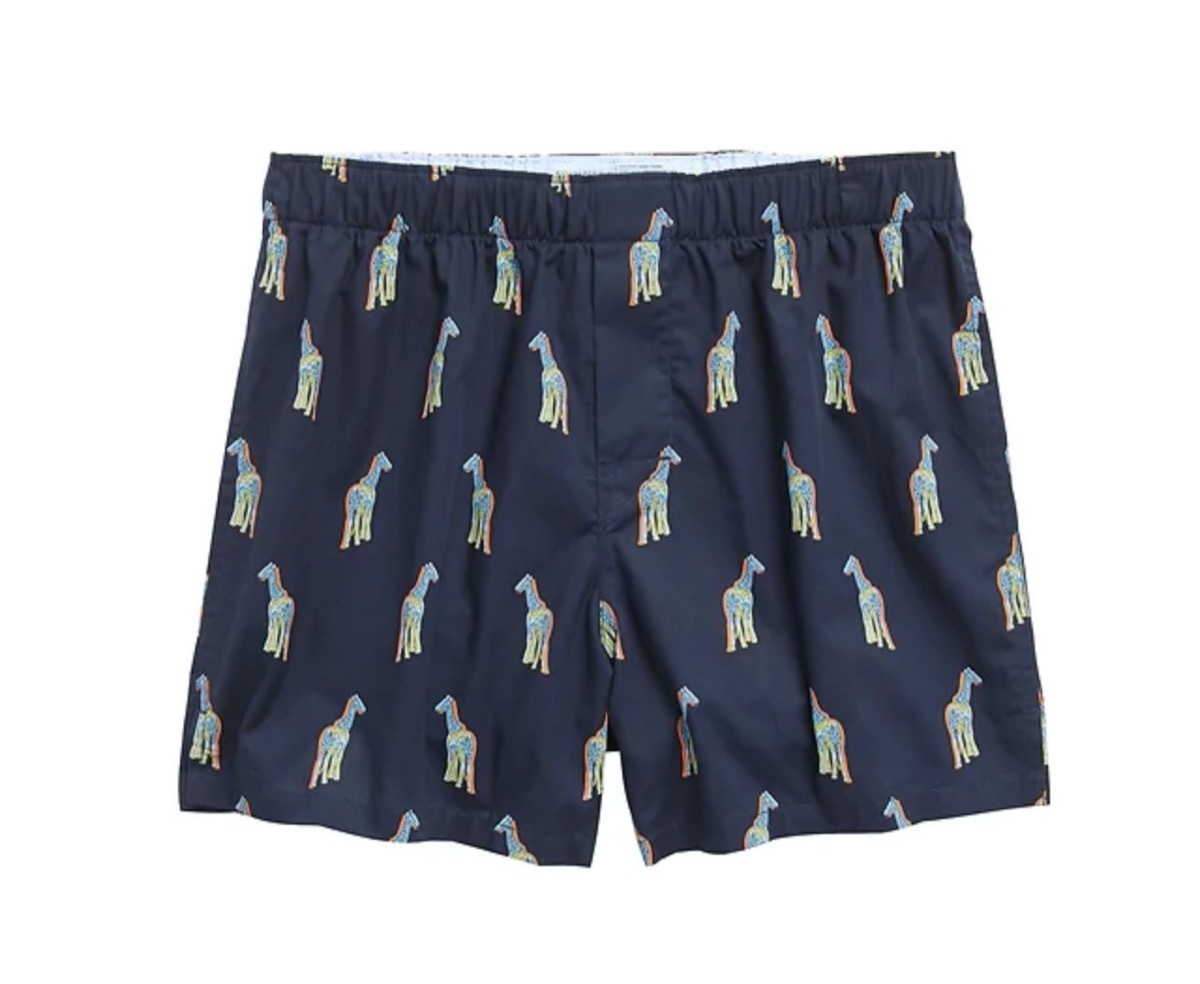 blue giraffe pattern boxers