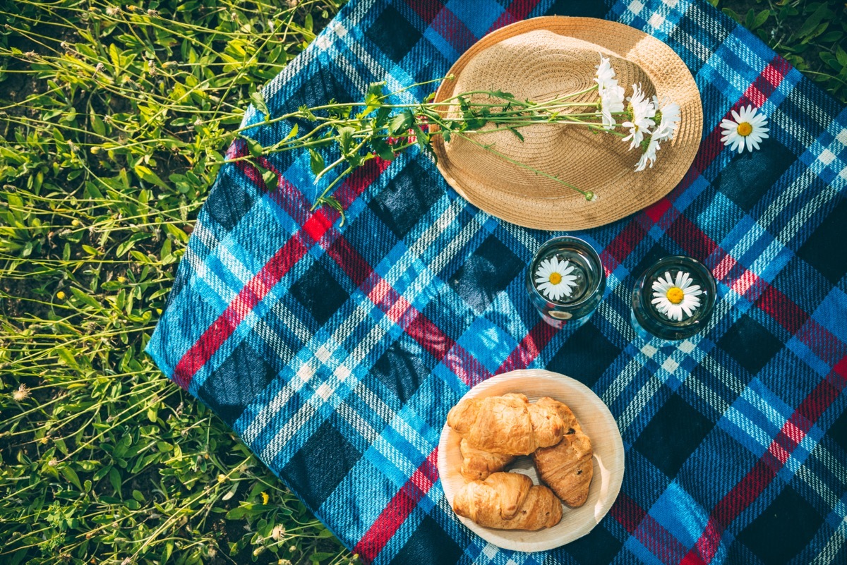 outdoor picnic blanket