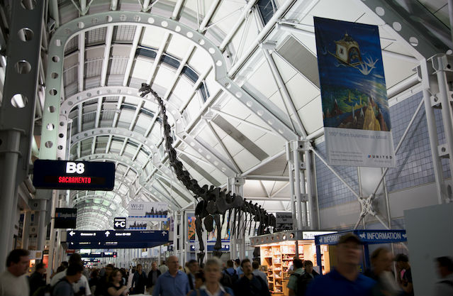 most-beautiful-airports-around-the-world-11