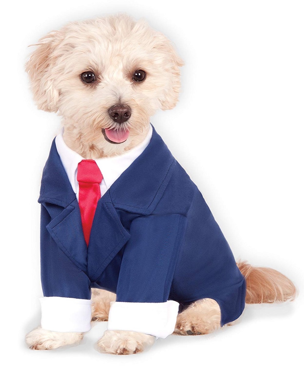 dog in business suit, dog halloween costumes