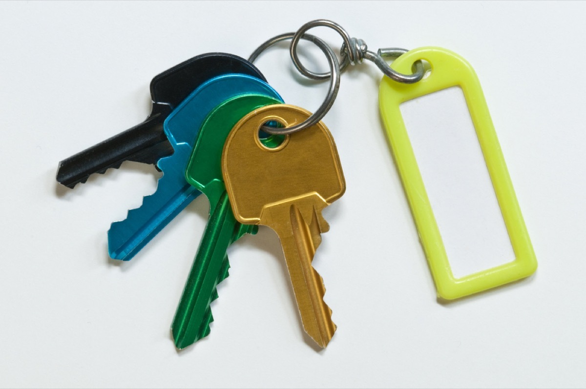 colorful keys on keyring, empty nest